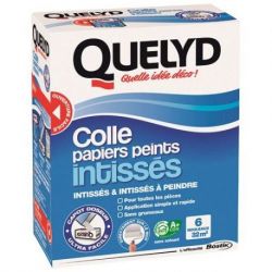 QUELYD QUELYD COLLE PAPIER INTISSE 300G 30611771