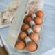 KOZIOL EGGS TO GO BOITE 10 ŒUFS BEIGE 7179700