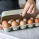 KOZIOL EGGS TO GO BOITE 10 ŒUFS BEIGE 7179700