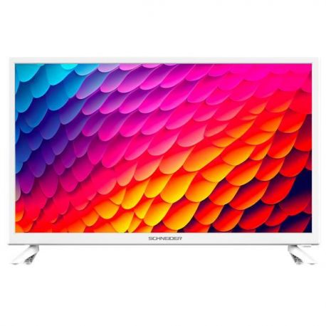 SCHNEIDER Téléviseur 60 cm HD - GMS24N100W